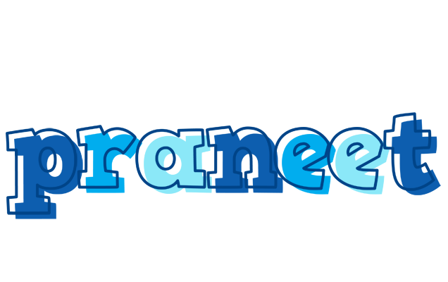 Praneet sailor logo