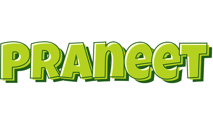 Praneet summer logo