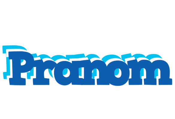 Pranom business logo