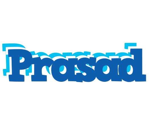 Prasad business logo