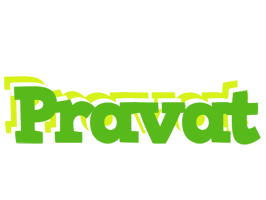 Pravat picnic logo