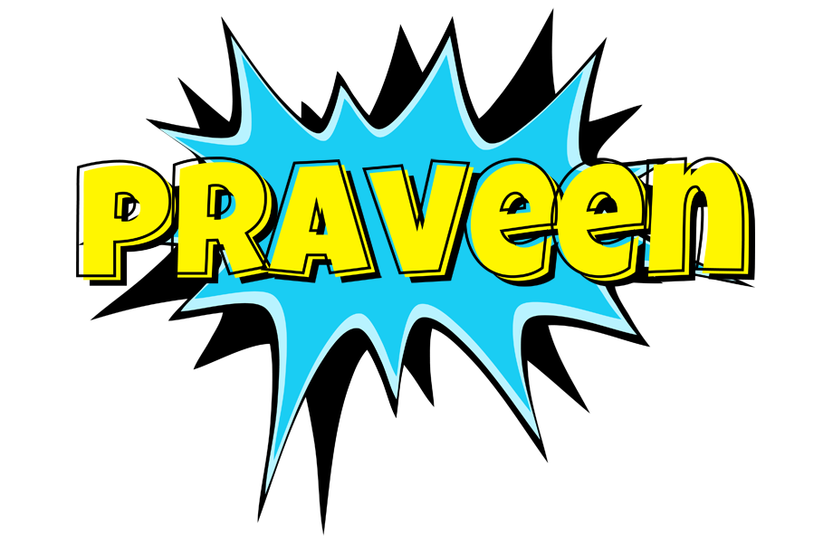 Praveen amazing logo