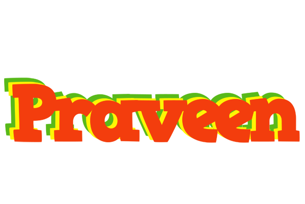 Praveen bbq logo
