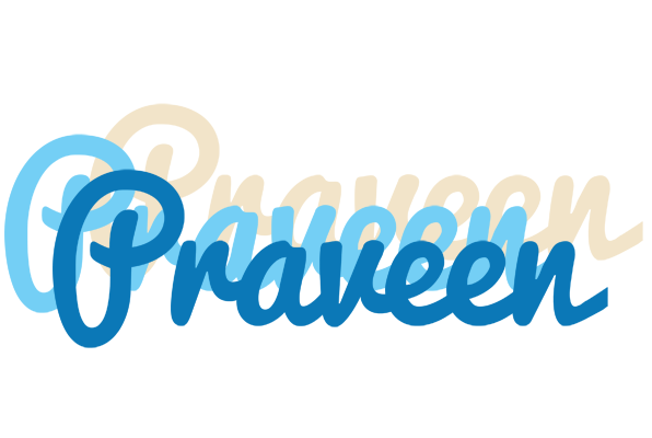 Praveen breeze logo