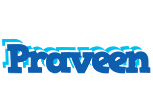 Praveen business logo