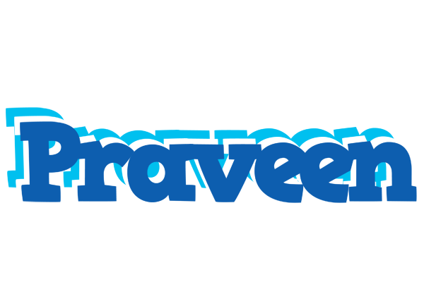 Praveen business logo