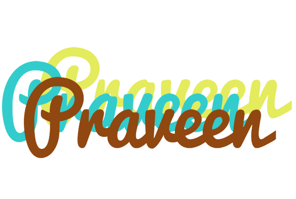 Praveen cupcake logo