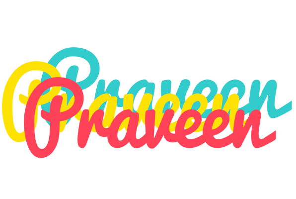 Praveen disco logo