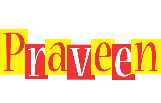 Praveen errors logo