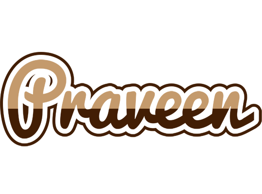 Praveen exclusive logo