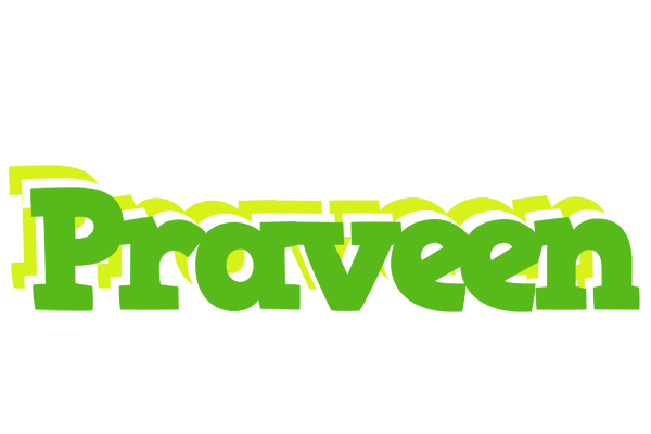 Praveen picnic logo