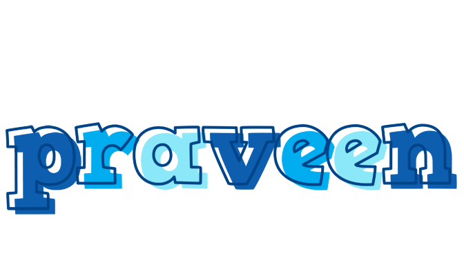 Praveen sailor logo