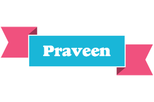 Praveen today logo