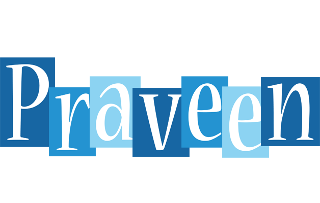 Praveen winter logo