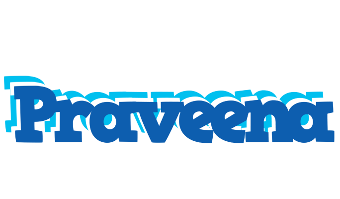 Praveena business logo