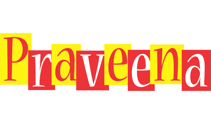 Praveena errors logo