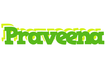 Praveena picnic logo