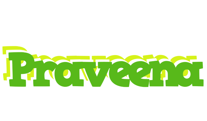 Praveena picnic logo