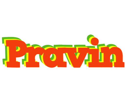 Pravin bbq logo