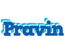 Pravin business logo