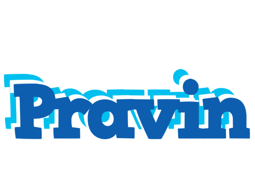 Pravin business logo