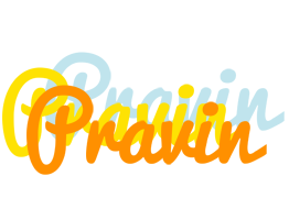Pravin energy logo