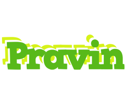 Pravin picnic logo