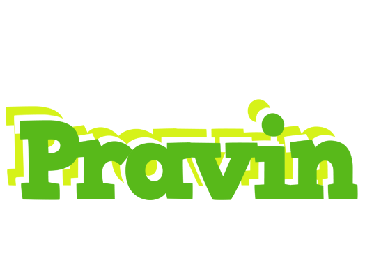 Pravin picnic logo