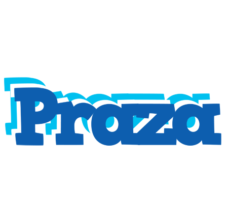 Praza business logo