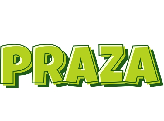 Praza summer logo