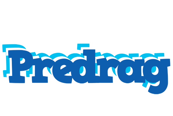 Predrag business logo