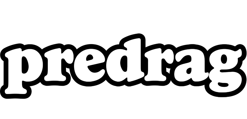 Predrag panda logo