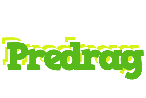 Predrag picnic logo
