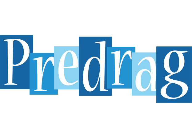 Predrag winter logo