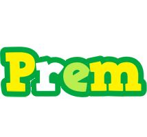 Prem soccer logo