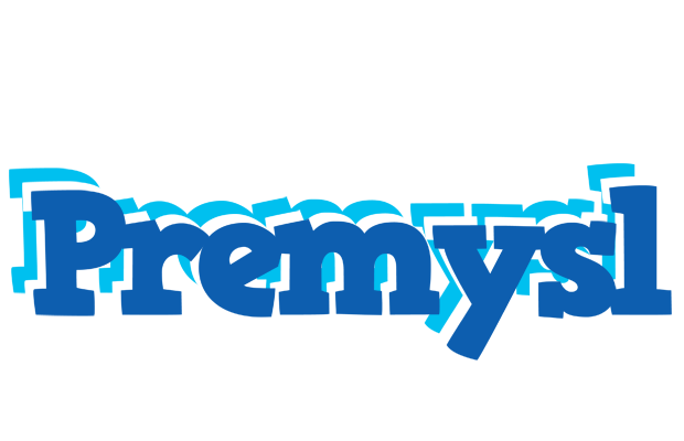 Premysl business logo