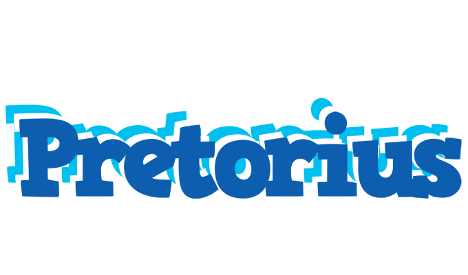 Pretorius business logo