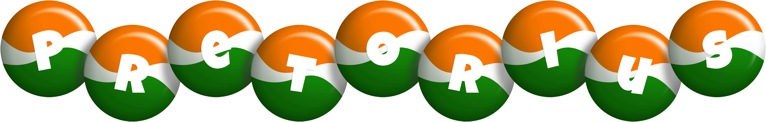 Pretorius india logo