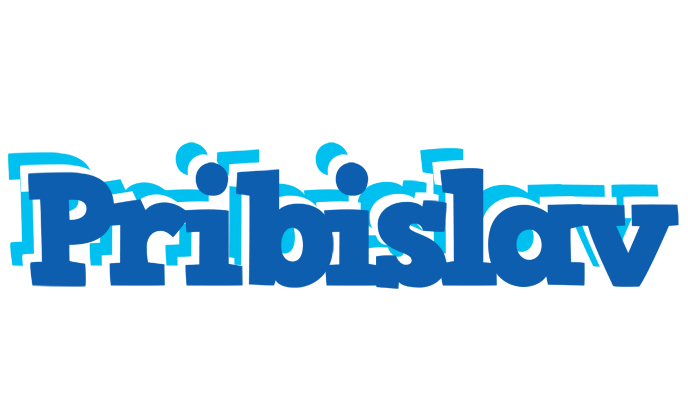Pribislav business logo