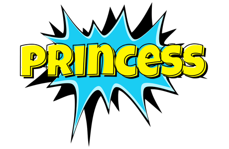 Princess amazing logo