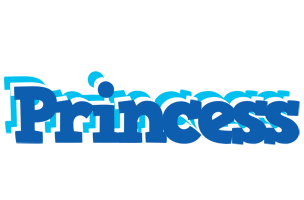 Princess business logo