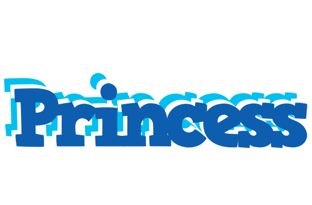 Princess business logo