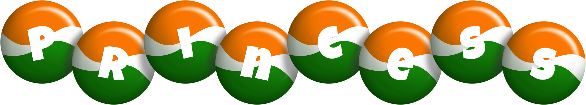 Princess india logo