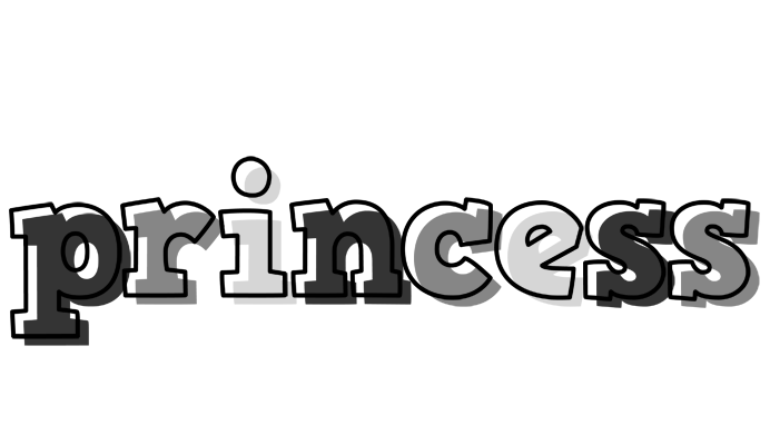 Princess night logo