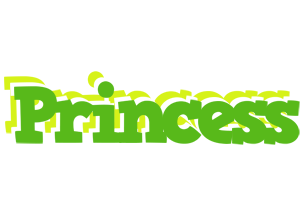 Princess picnic logo