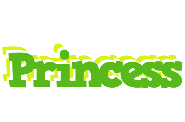 Princess picnic logo