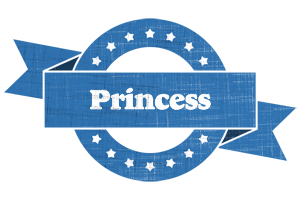 Princess trust logo