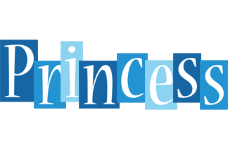 Princess winter logo