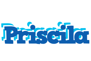 Priscila business logo