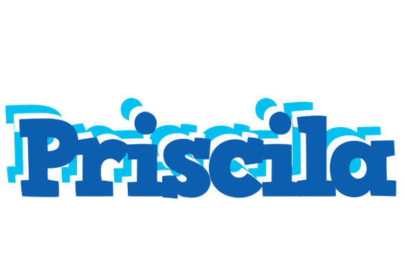 Priscila business logo